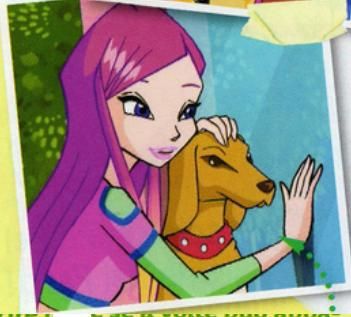 _winx.jpg